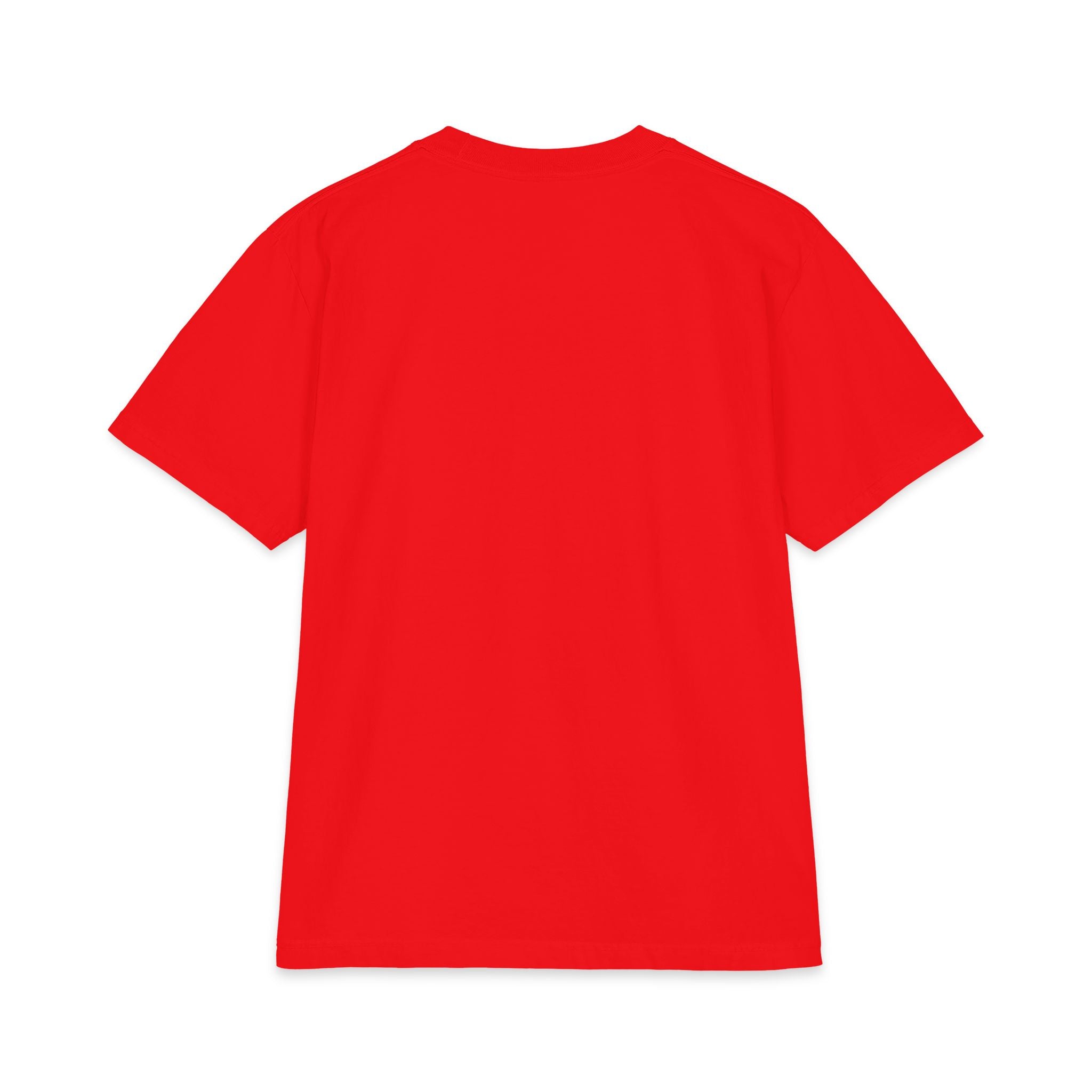 Nerd Star Heavyweight Short Sleeve
