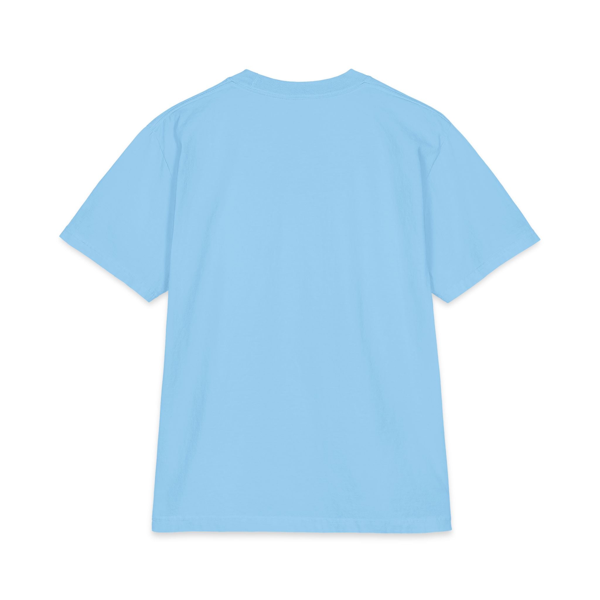 Nerd Star Heavyweight Short Sleeve
