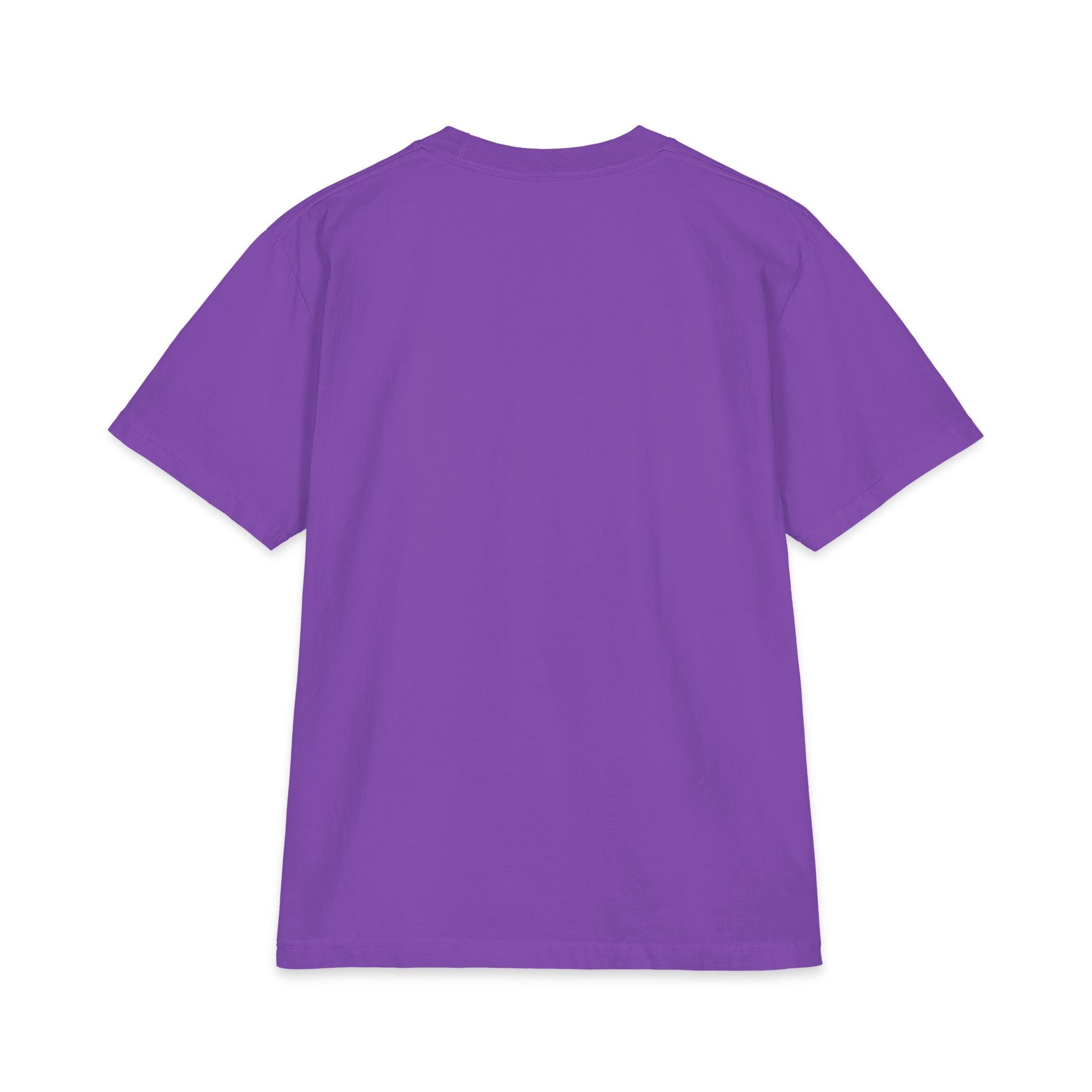 Nerd Star Heavyweight Short Sleeve