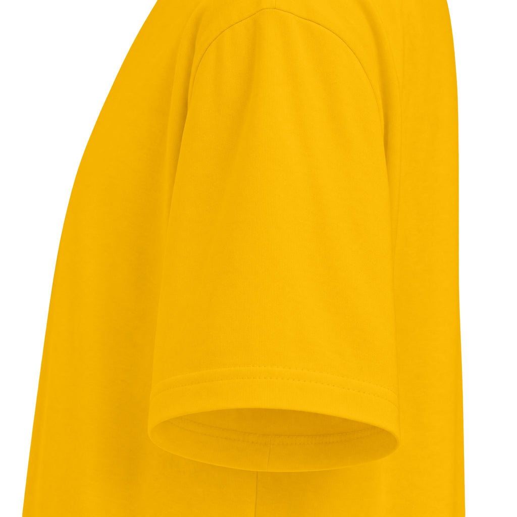 Nerd Star Heavyweight Short Sleeve